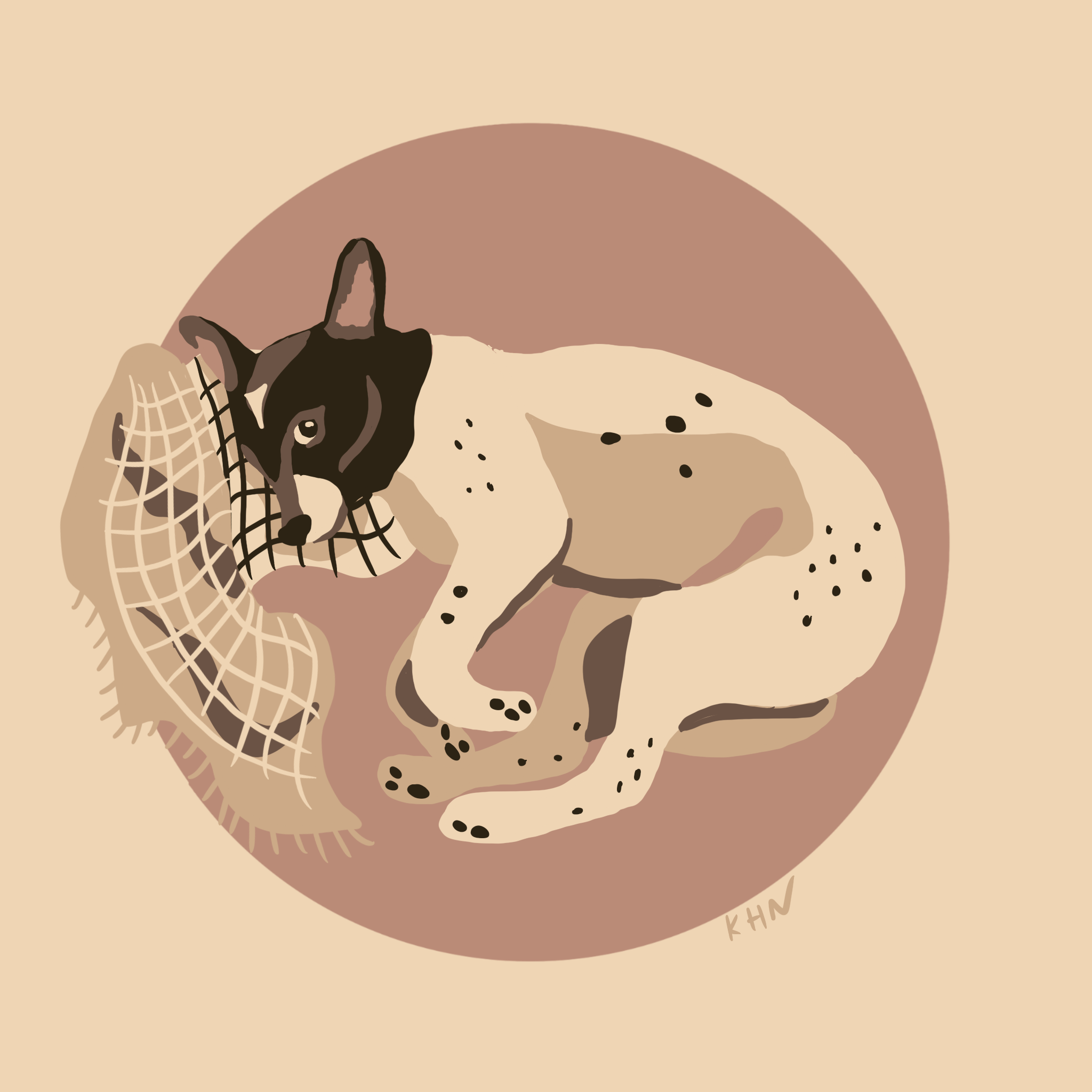 digital illustration